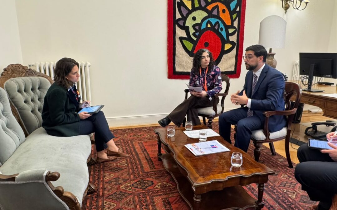 Diputado Fernández solicita a ministra de Desarrollo Social agilizar ayudas a Corral tras emergencia por sistema frontal