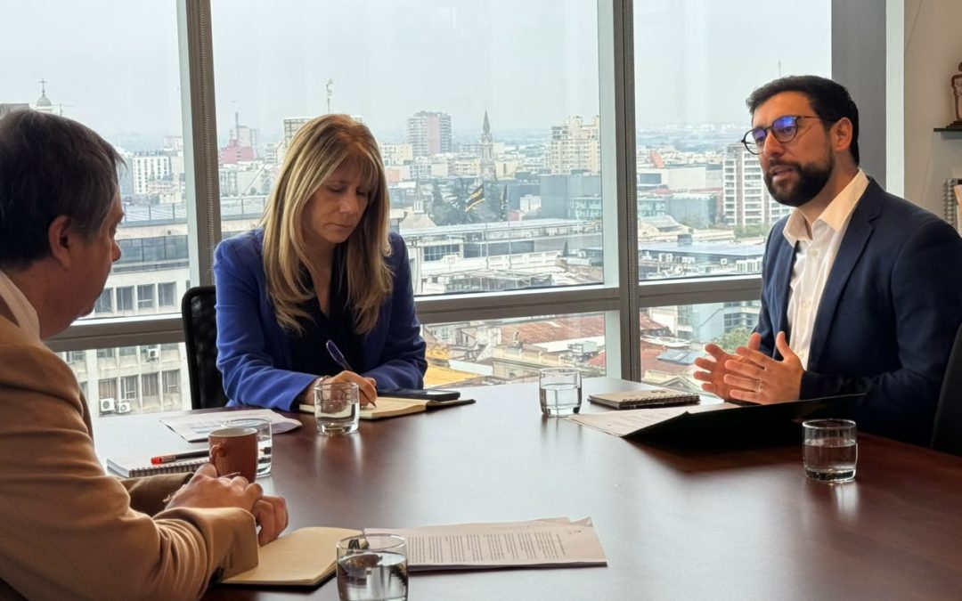 Diputado Matías Fernández se reúne con ministra de Energía por crisis del pellet en Los Ríos